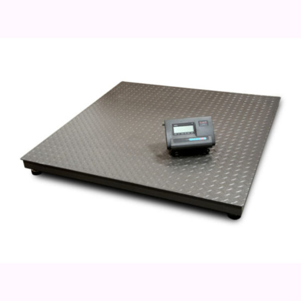 Floor scale
